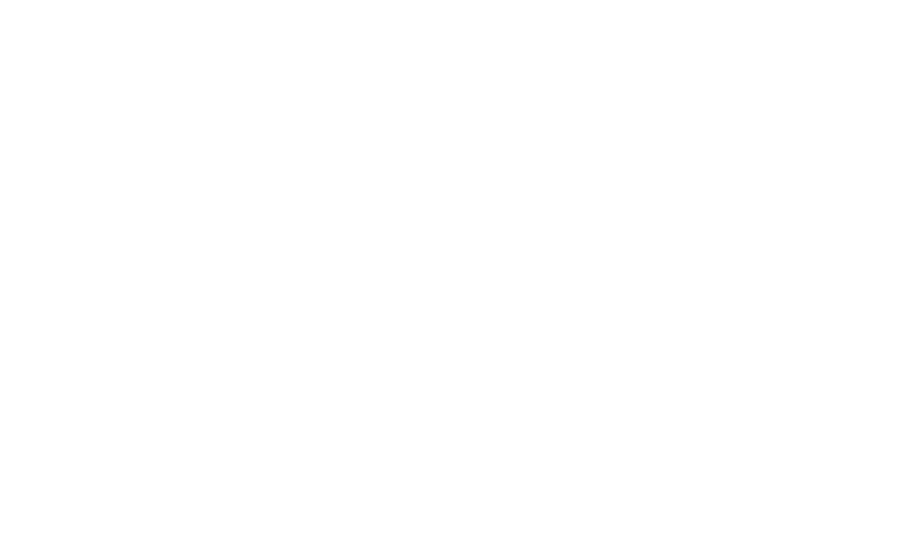 ZORVIQ